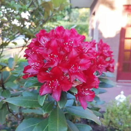 Appartment Daji リューネブルク エクステリア 写真