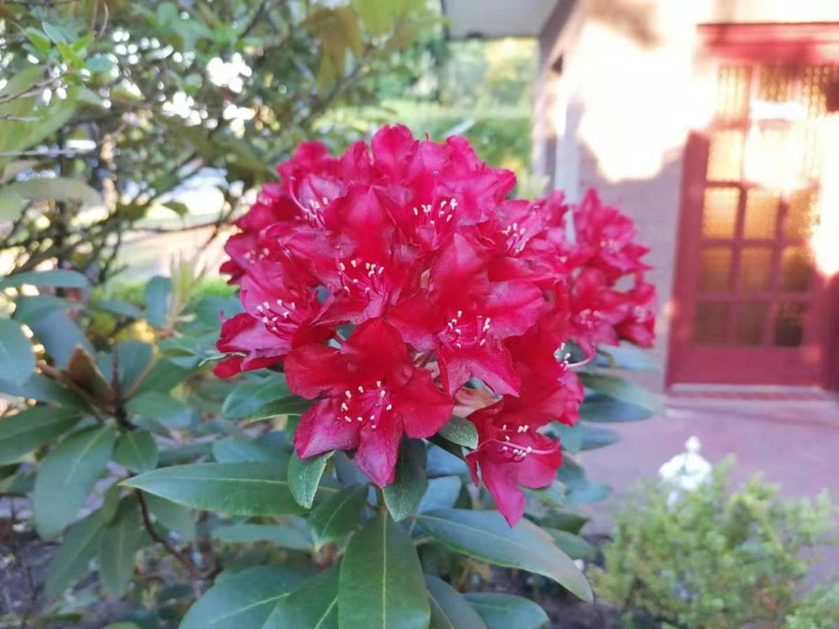 Appartment Daji リューネブルク エクステリア 写真