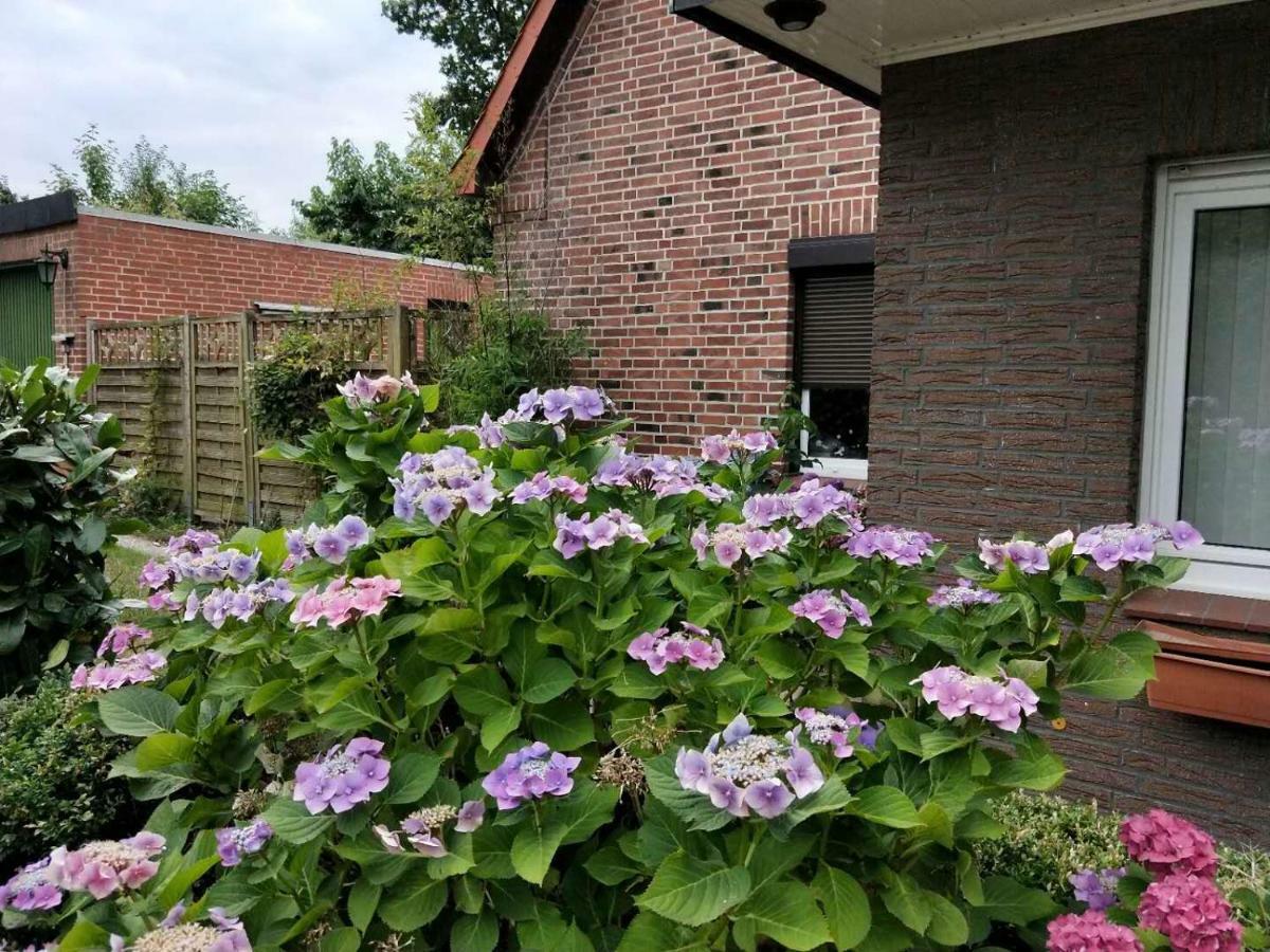 Appartment Daji リューネブルク エクステリア 写真